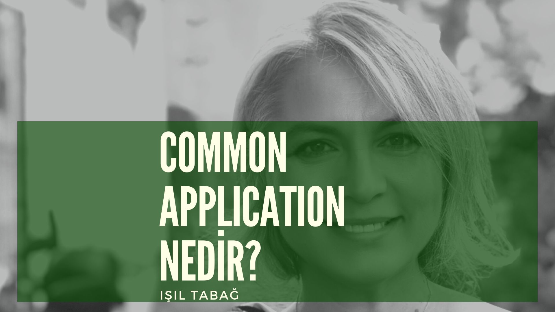 Common Application - Işıl Tabağ 